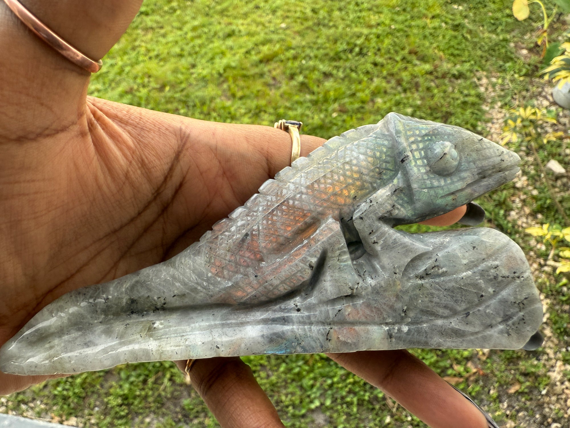 Chameleon
