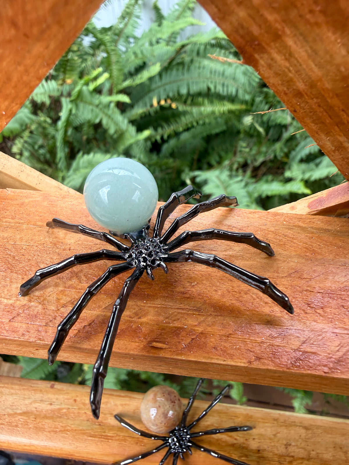 Spider