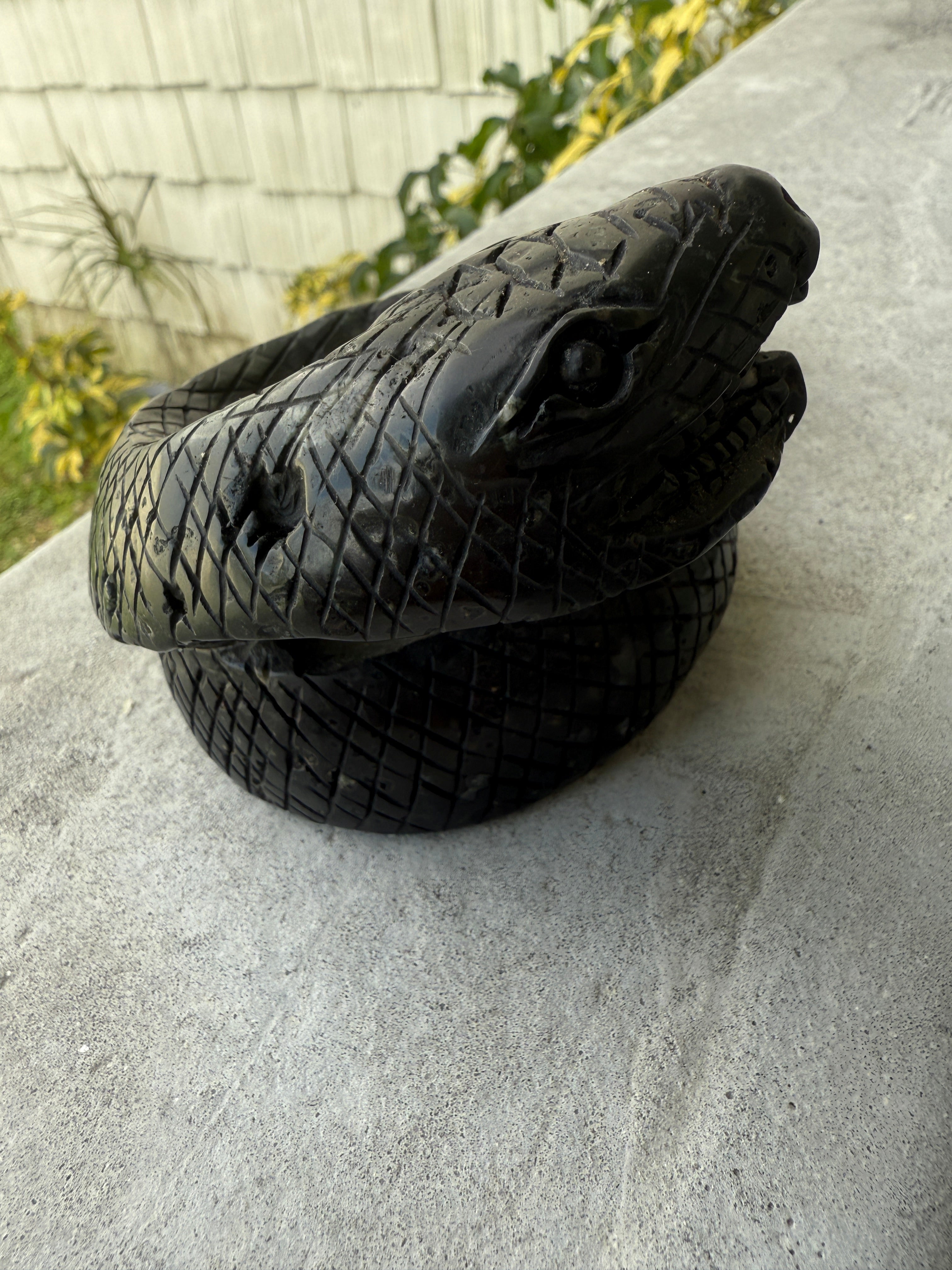 Plum Blossom Jasper Serpent - Transformation & Grounding Guardian