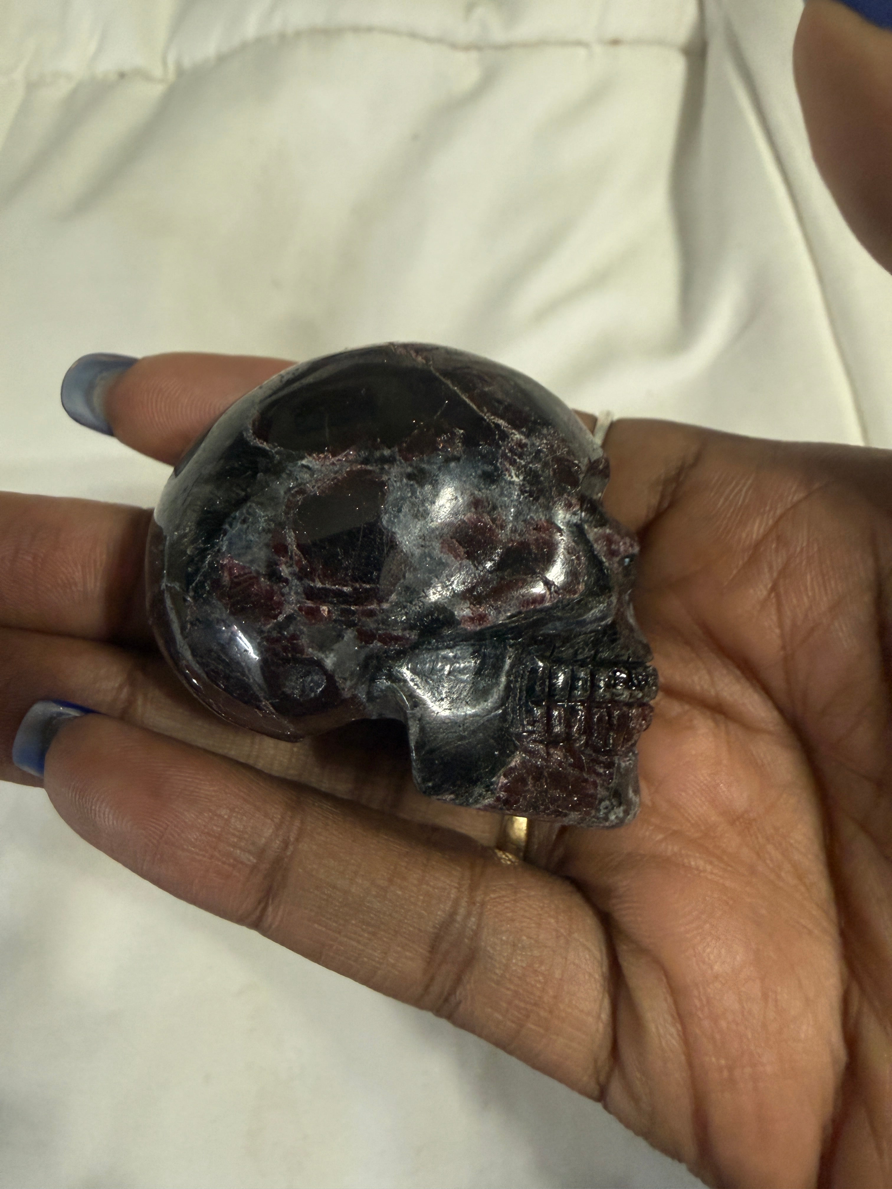 Garnet in Astrophylite Skull