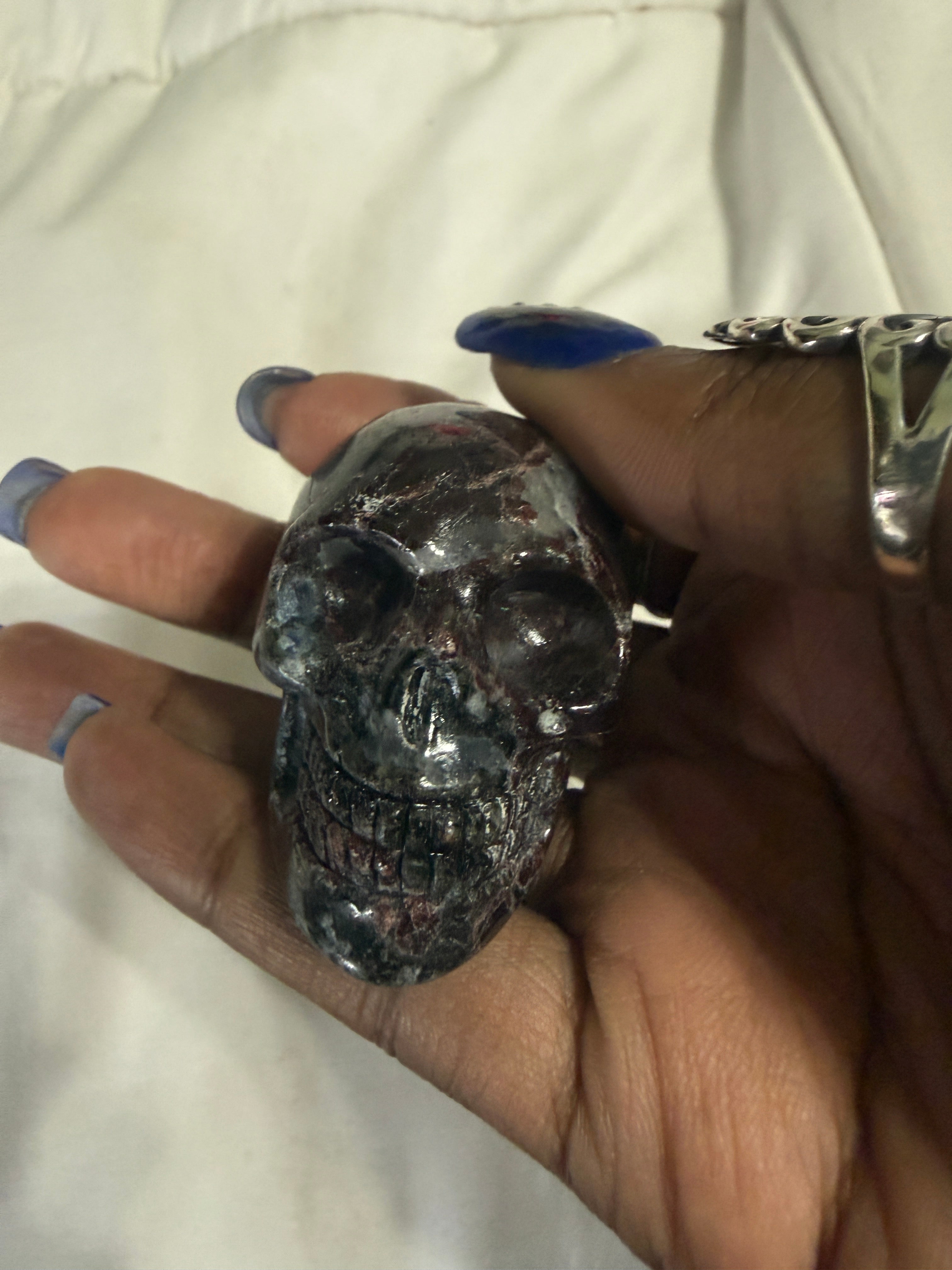 Garnet in Astrophylite Skull