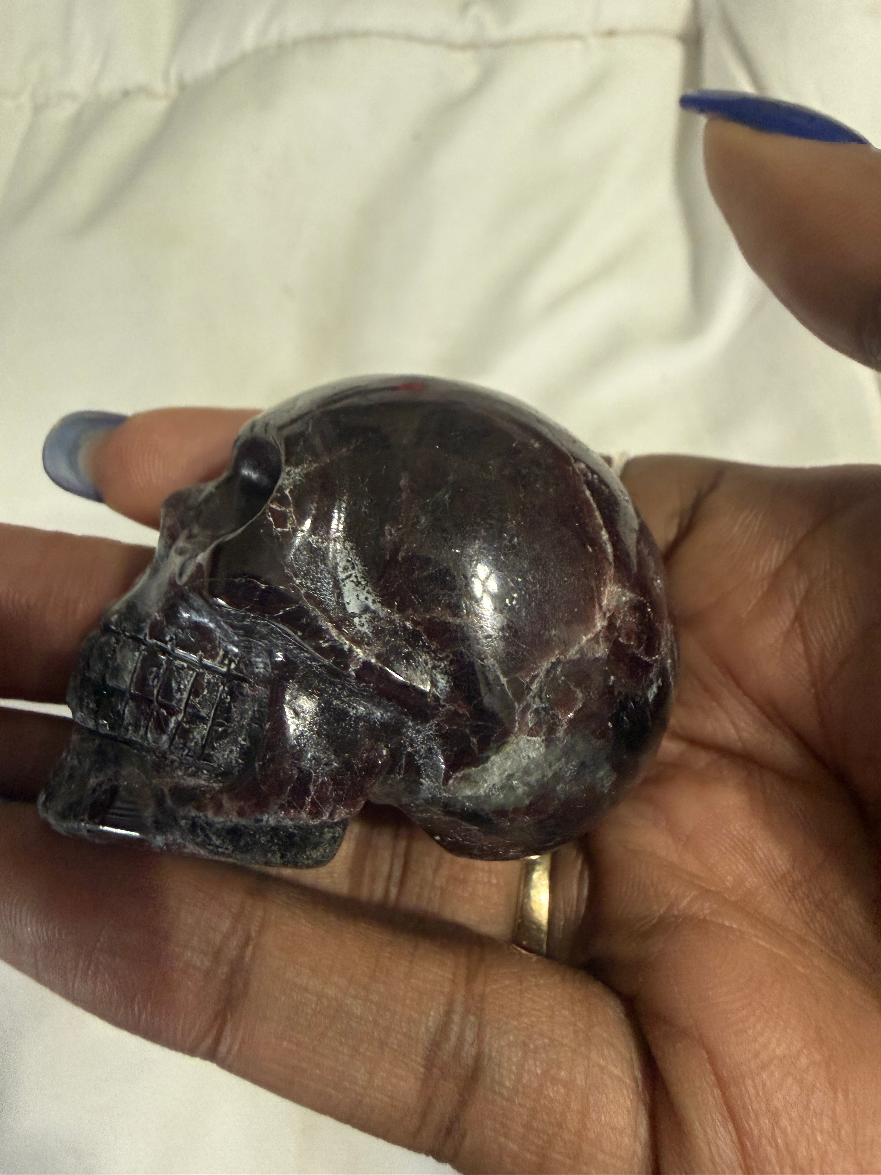 Garnet in Astrophylite Skull