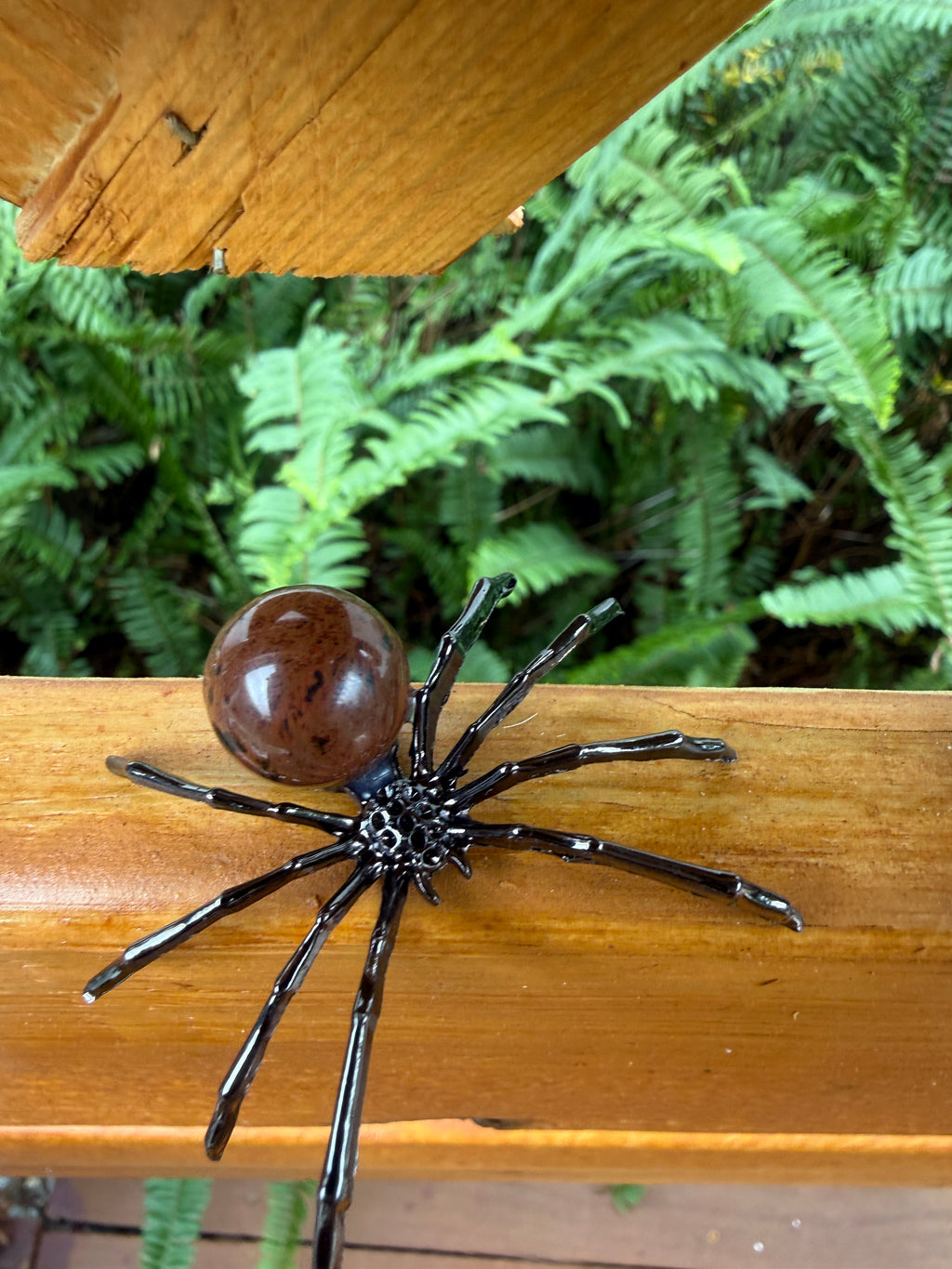 Decorative mahogany obsidiam spider with a round brown body on a wooden surface with green foliage in the background