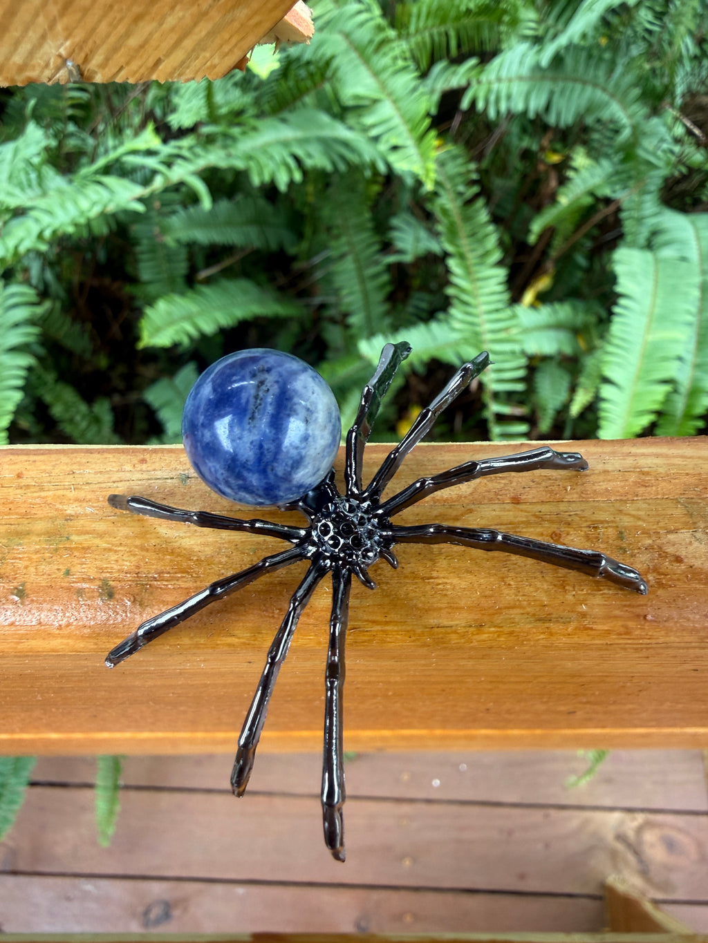 Spider