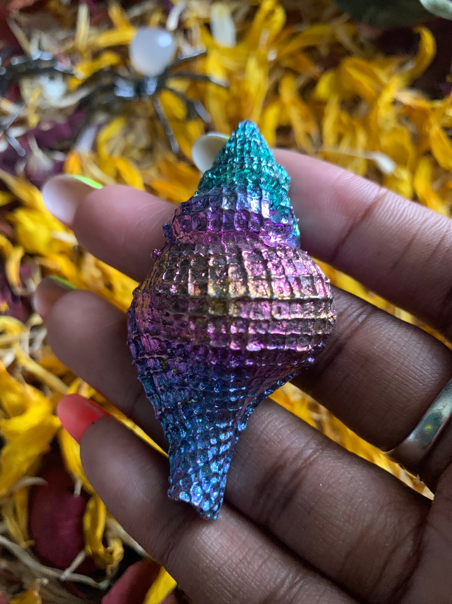 Bismuth Shells and Carving