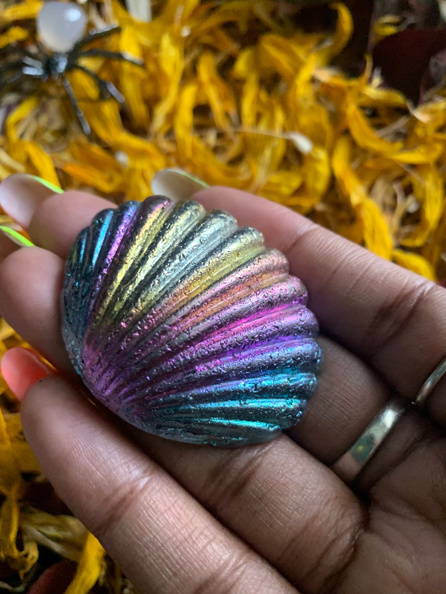 Bismuth Shells and Carving