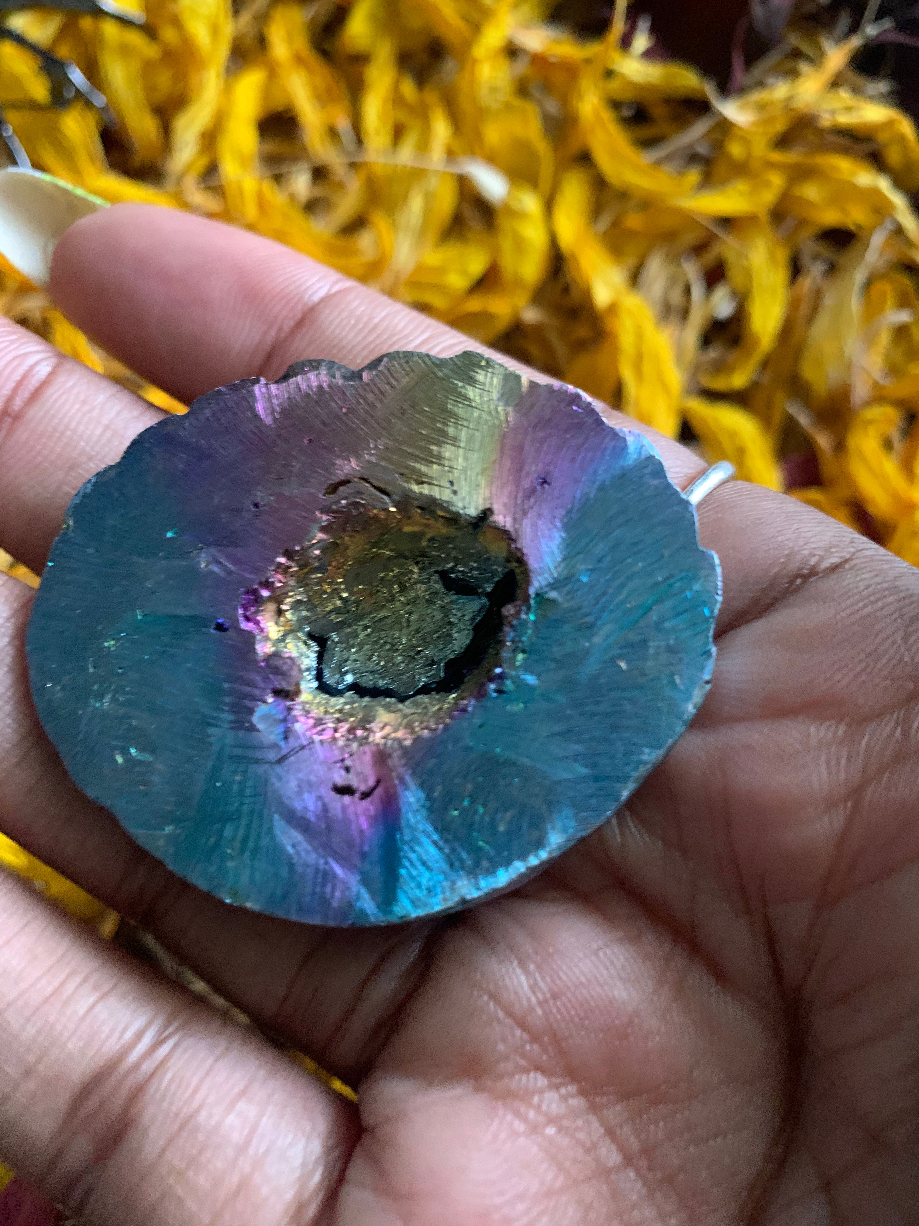 Bismuth shell or turtle