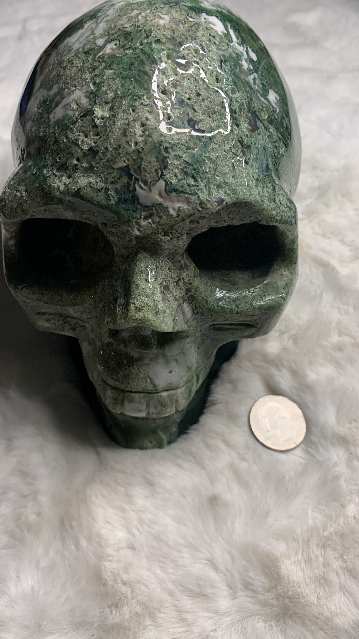 Ocean Jasper & Moss Agate Skull