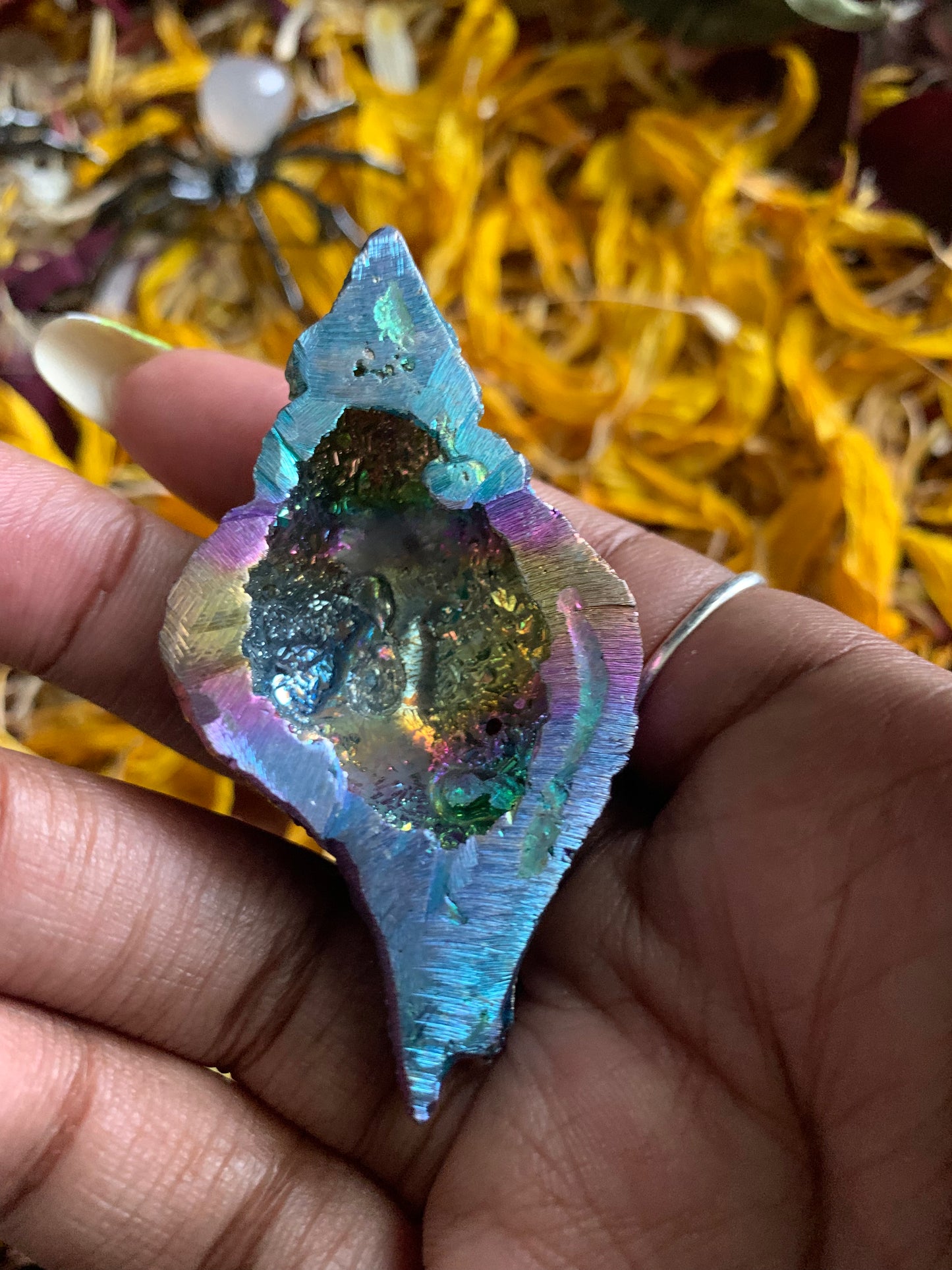 Bismuth Shells and Carving