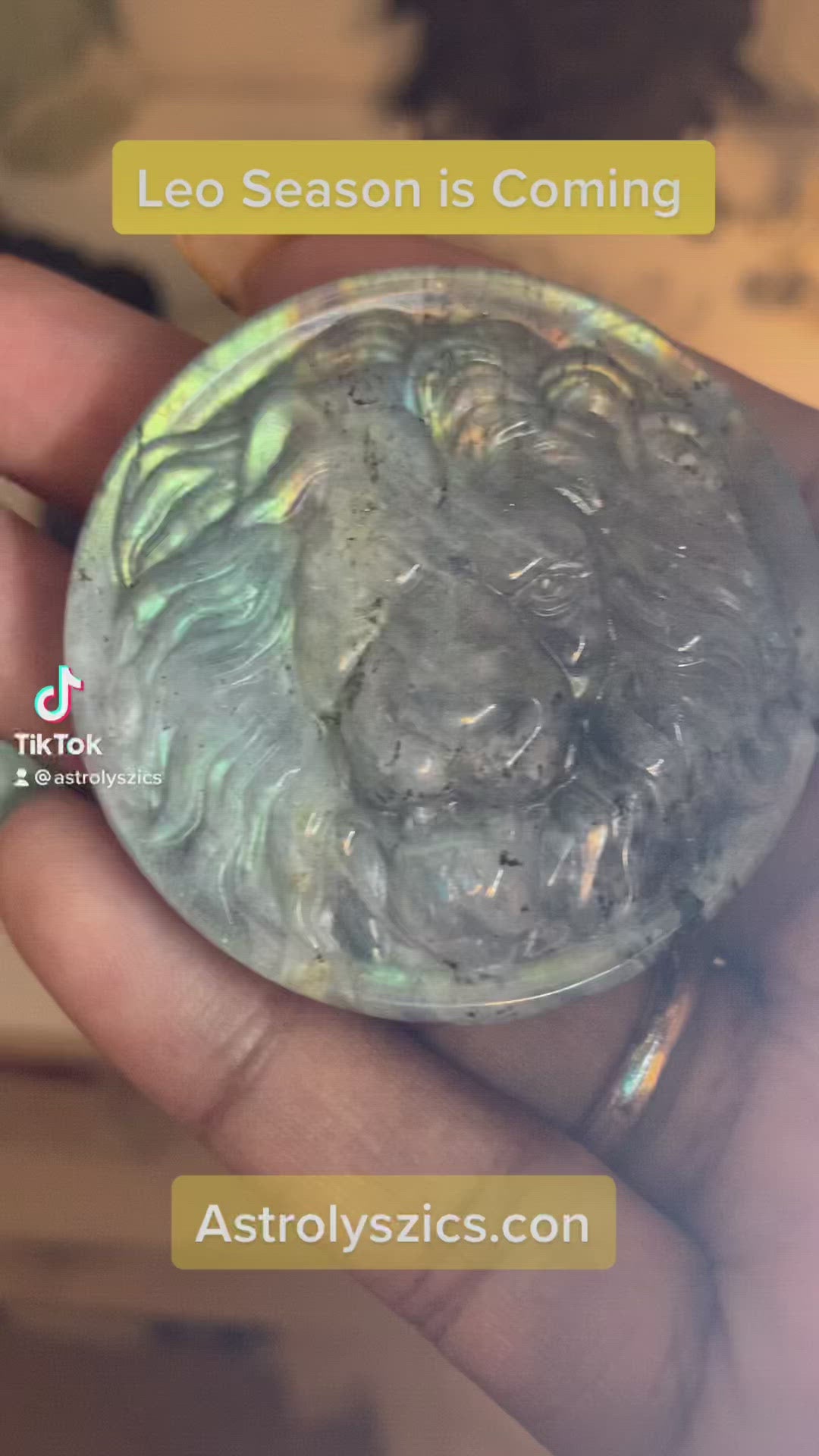 Labradorite Lion Medallion