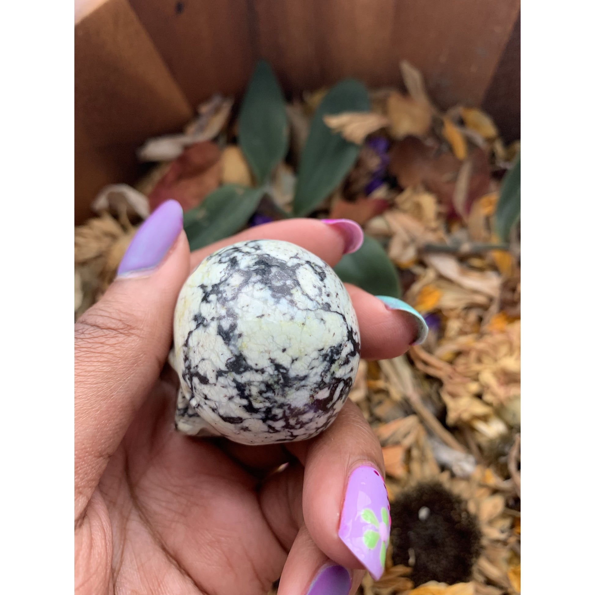 Zebra Jasper Skull - Astrolyszics