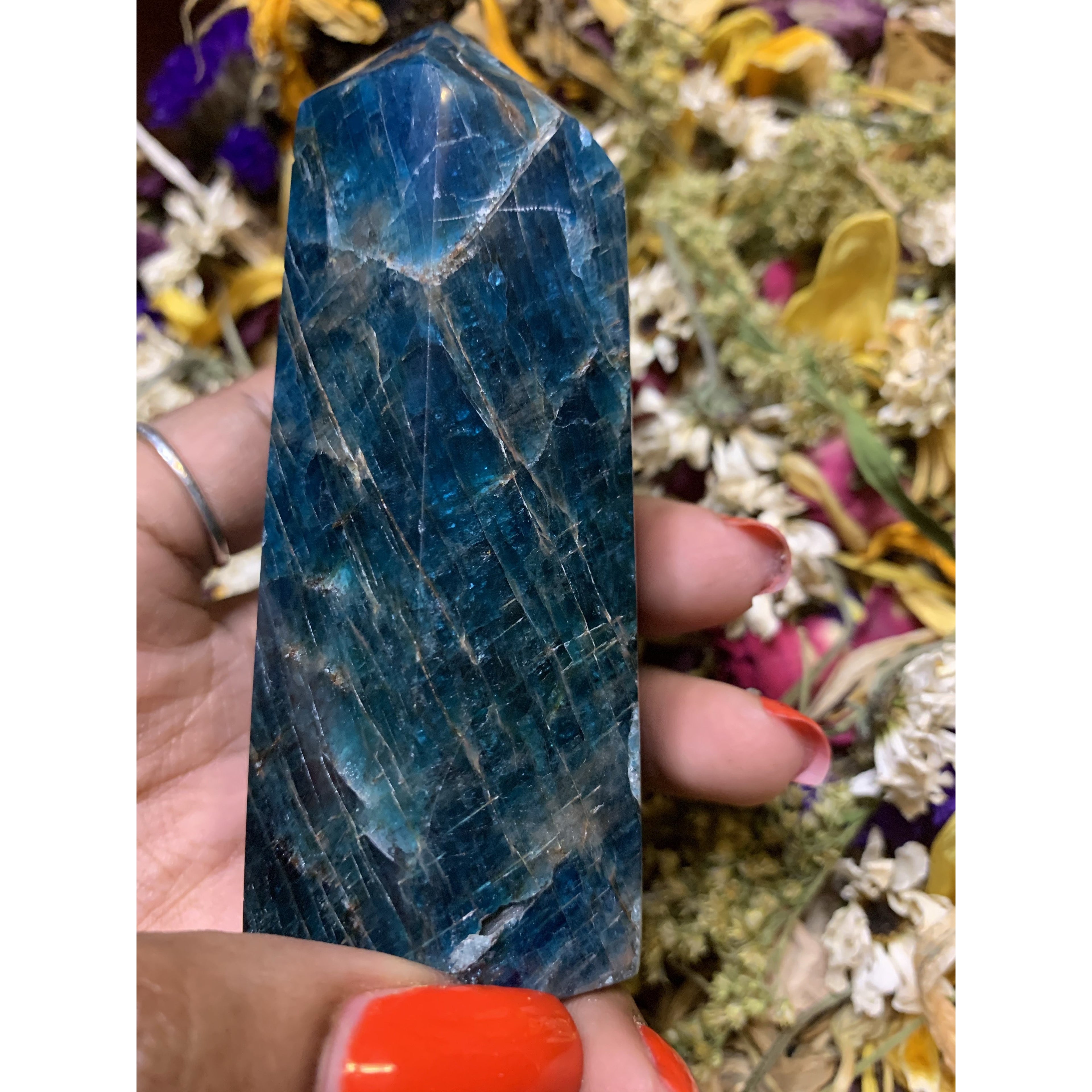 Apetite Obelisk Towers - Astrolyszics