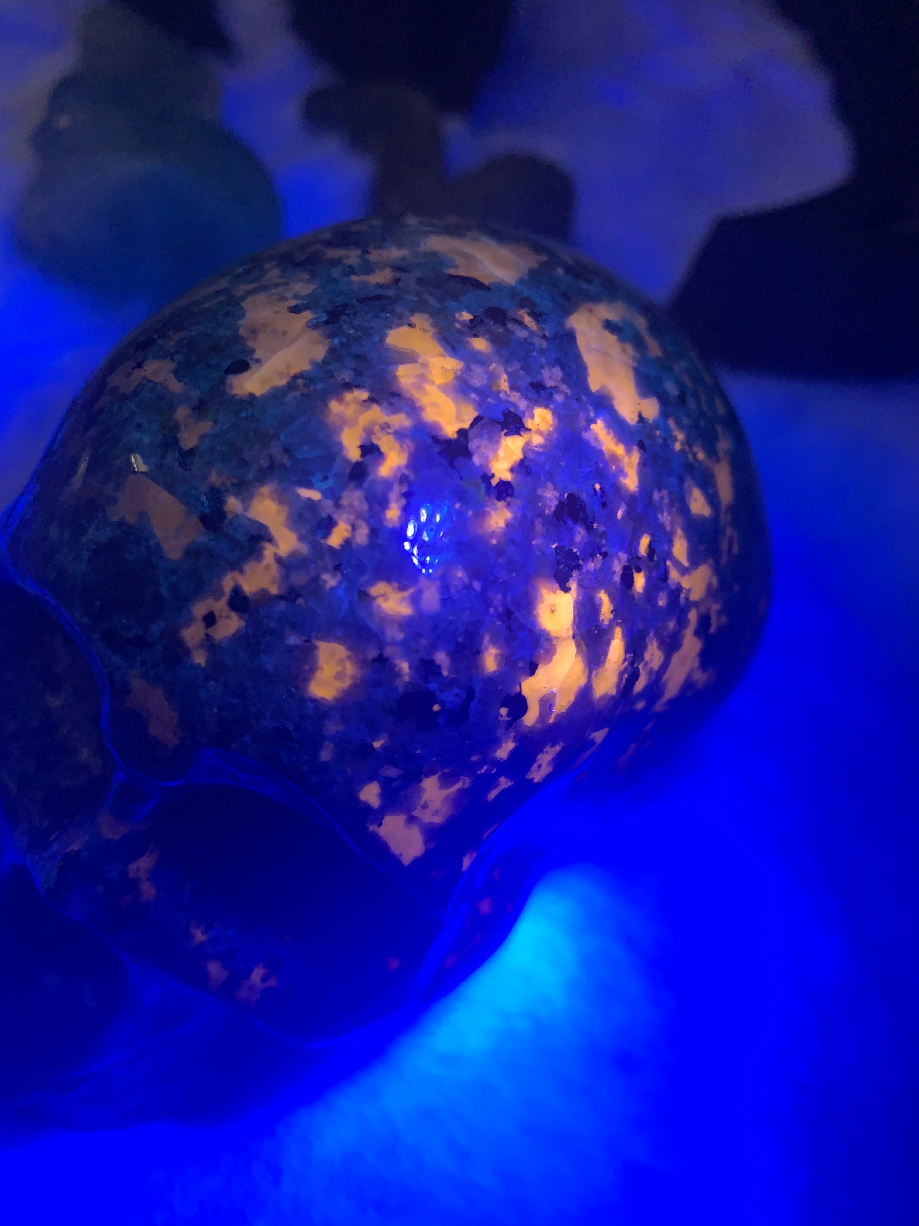 Yooperlite Pumpkin & Skull - Astrolyszics