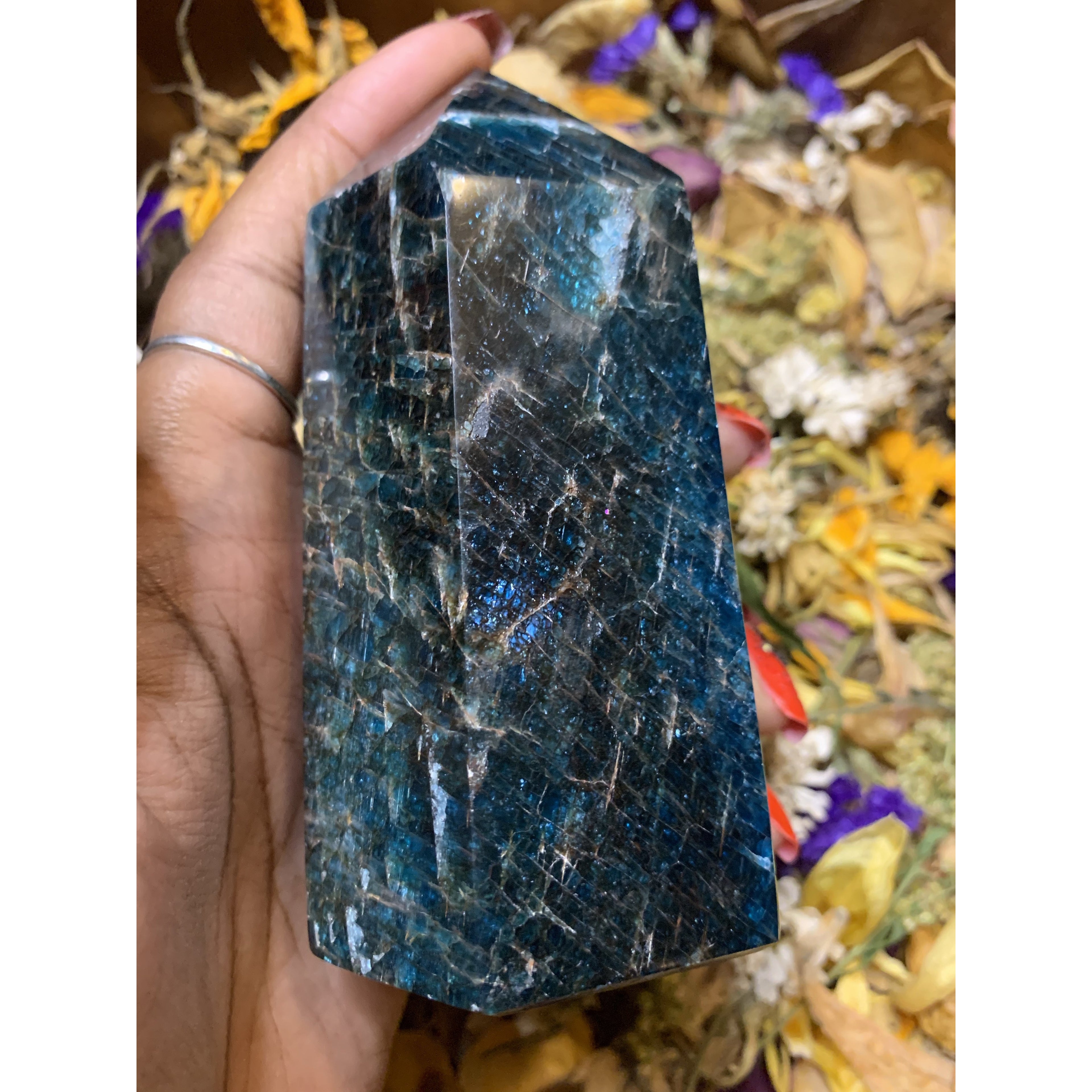 Apetite Obelisk Towers - Astrolyszics